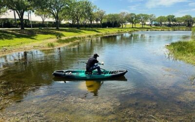Florida’s $112 Million Water Investment: Protecting Every Drop, from Springs to Skyscrapers